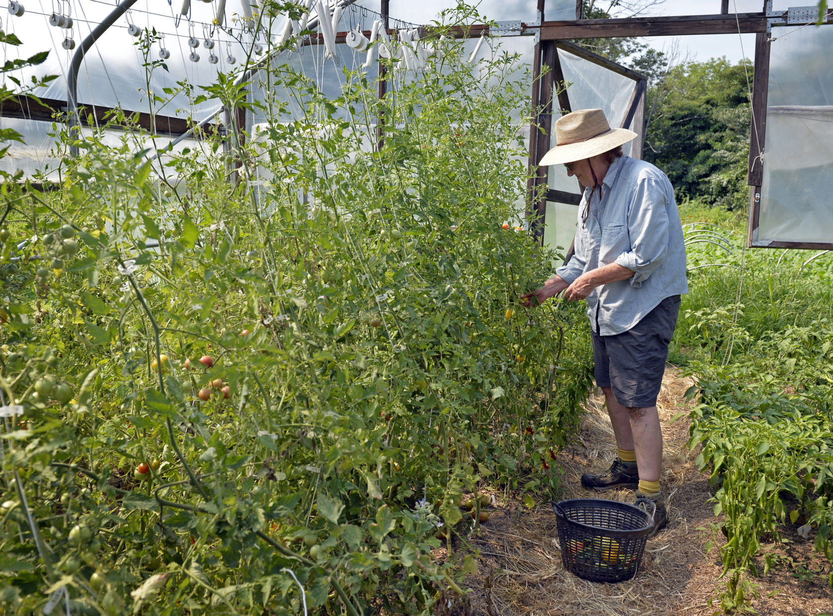 072117-nws-organic-farm-3.jpg